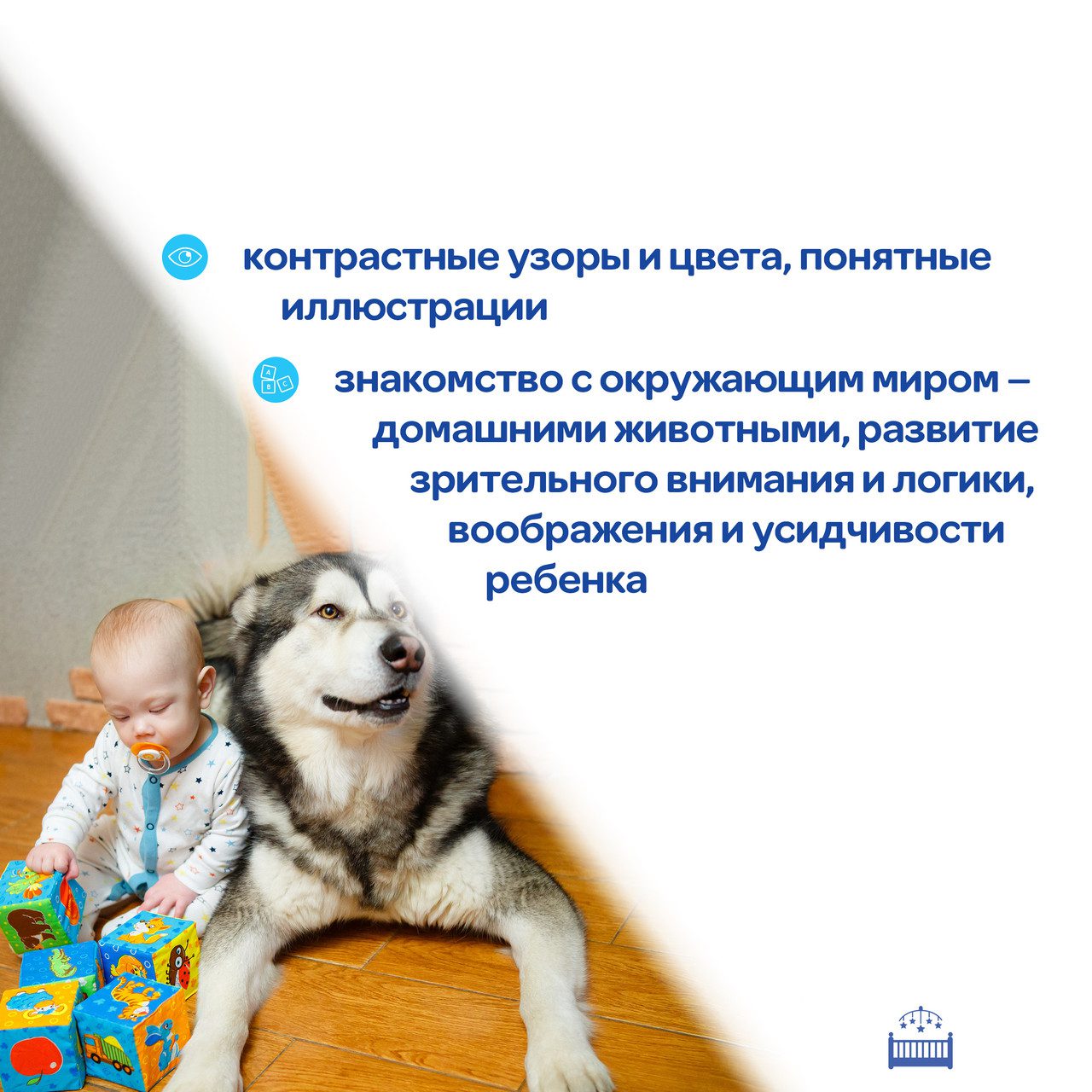 Набір кубиків Ферма Масік, арт. МС 090601-02 - 5