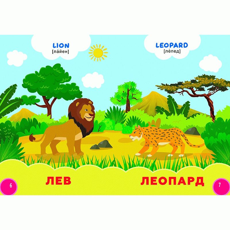 Книга Мої перші знання. Дикі тварини + англійські слова, арт. 9786178038786 (Кредо) - 2