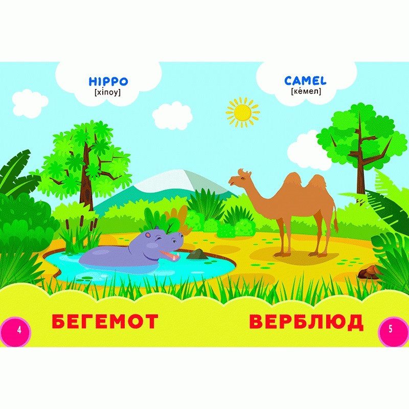 Книга Мої перші знання. Дикі тварини + англійські слова, арт. 9786178038786 (Кредо) - 6