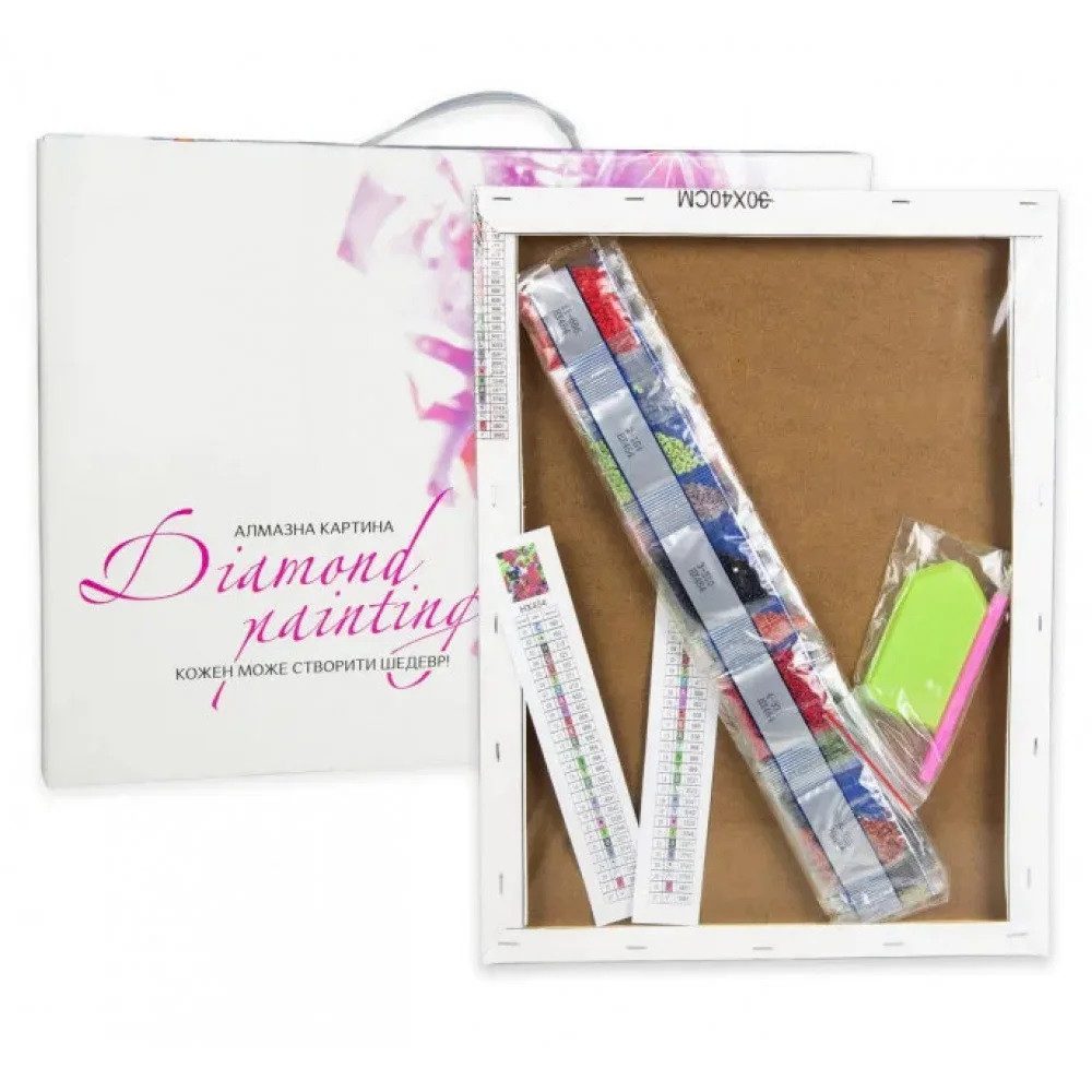 Алмазна мозаїка Strateg Дівчина на прогулянці 30х40 см KB104 - 2