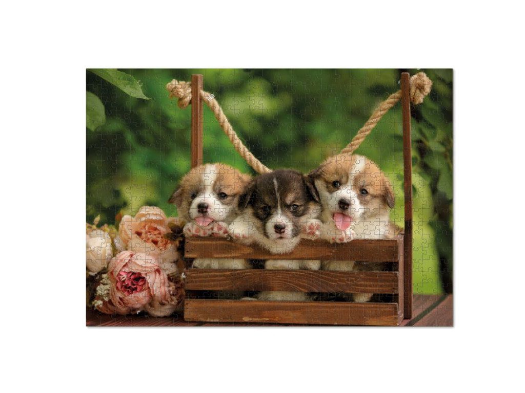 Пазл Валлійські коргі Dodo (500 дет.) 300535 - 1