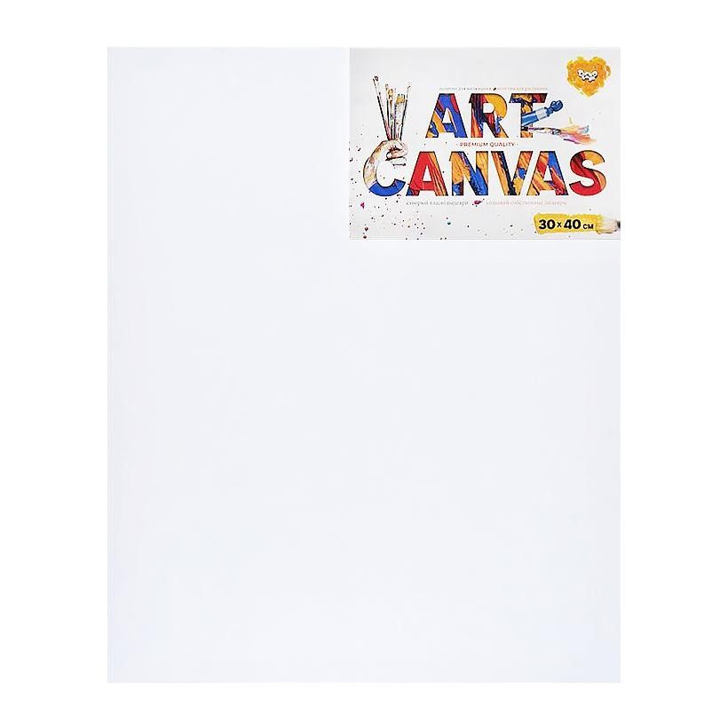 Полотно (полотно) для малювання Art Canvas Danko Toys AC-30х40 - 1