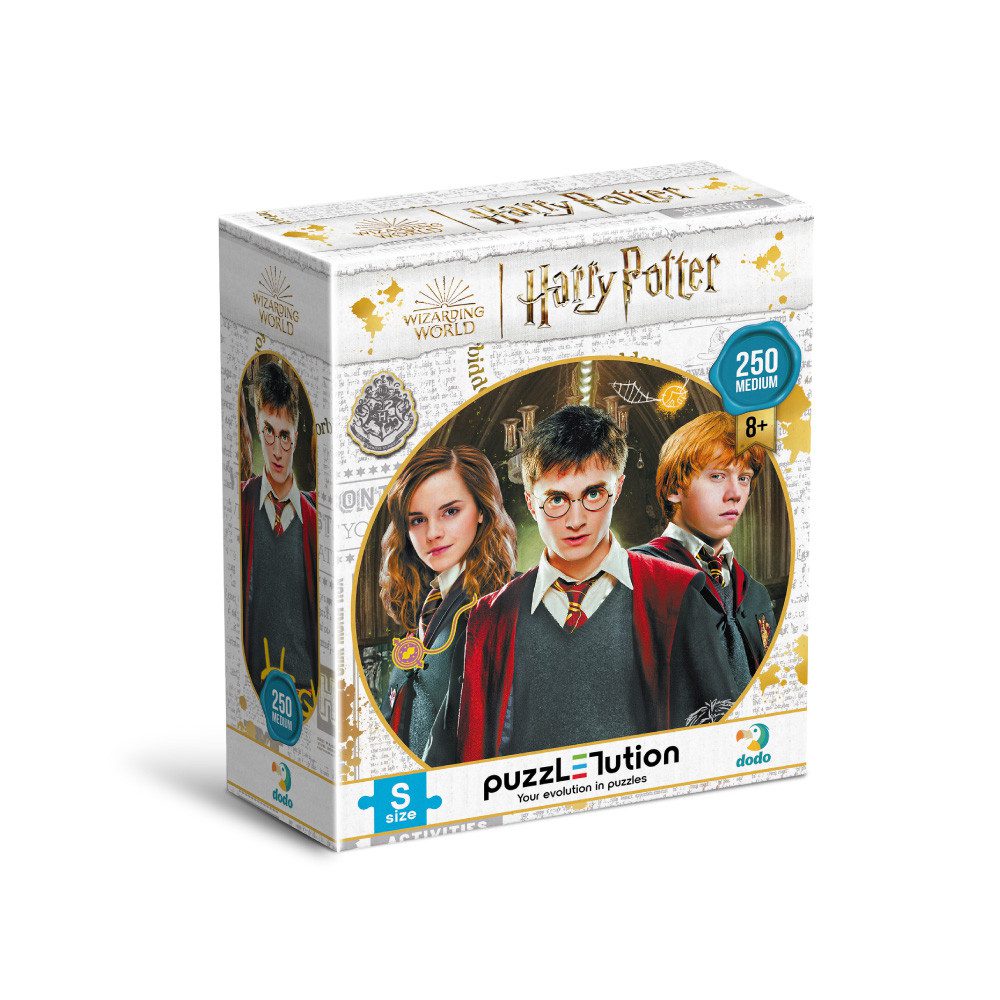 Пазл Medium-S, Harry Potter. Гаррі та друзі, Dodo (250 дет.) 200498 - 2