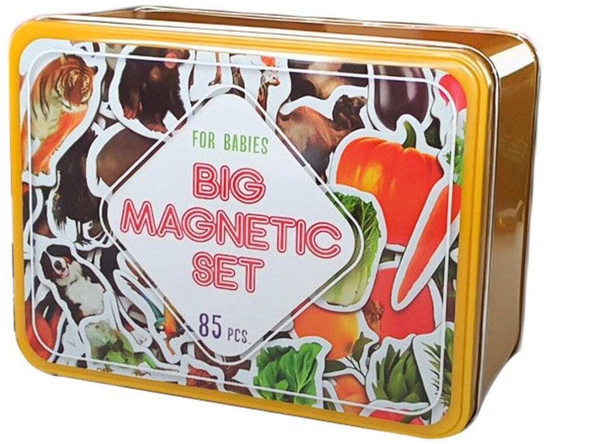 Набір магнітів Magdum Big Magnetic Set (85 магнітів) ML4031-61 EN - 3