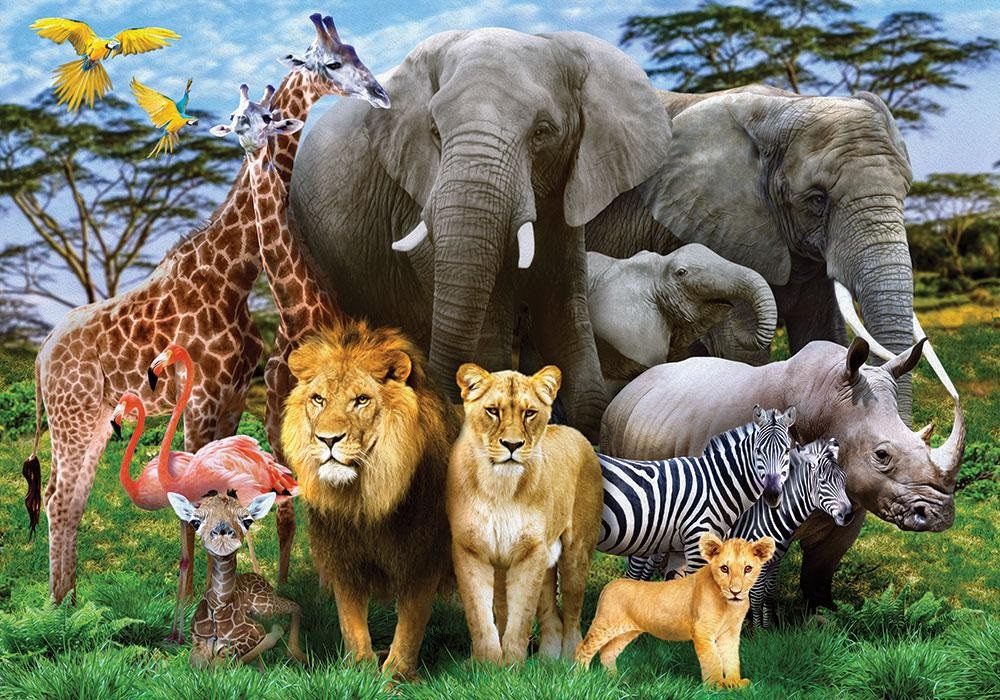 Пазл 1000 ел. с.10 №9 ANIMAL PLANET Danko Toys С1000-10-09 - 1