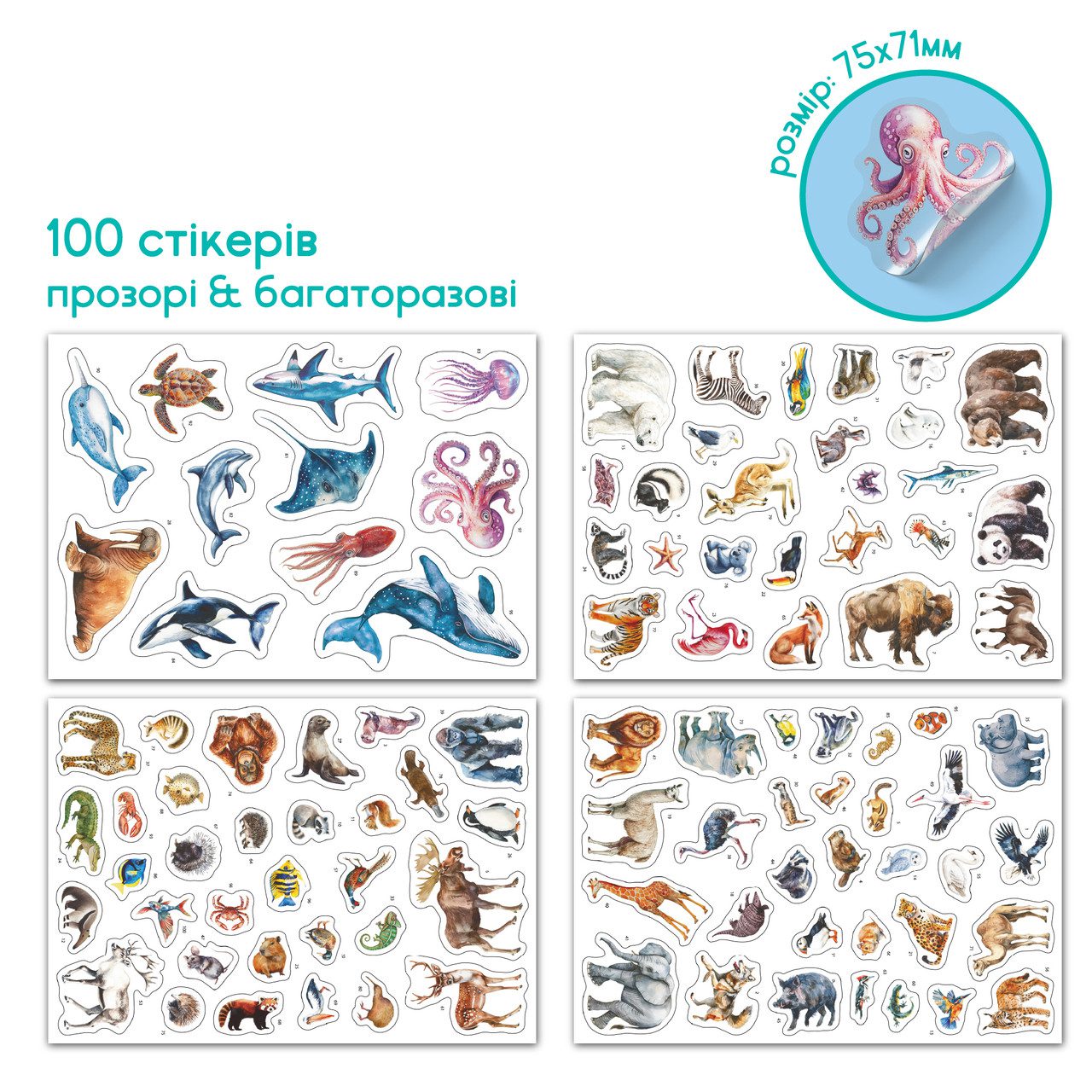 Навчальний постер з наклейками Тварини світу XXL Dodo 300900 - 7